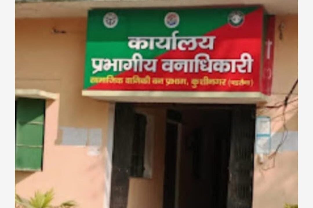 डीएफओ साहब! कहा गये 1 करोड 20 लाख पौधे? डीएफओ साहब! कहा गये 1 करोड 20 लाख पौधे?
